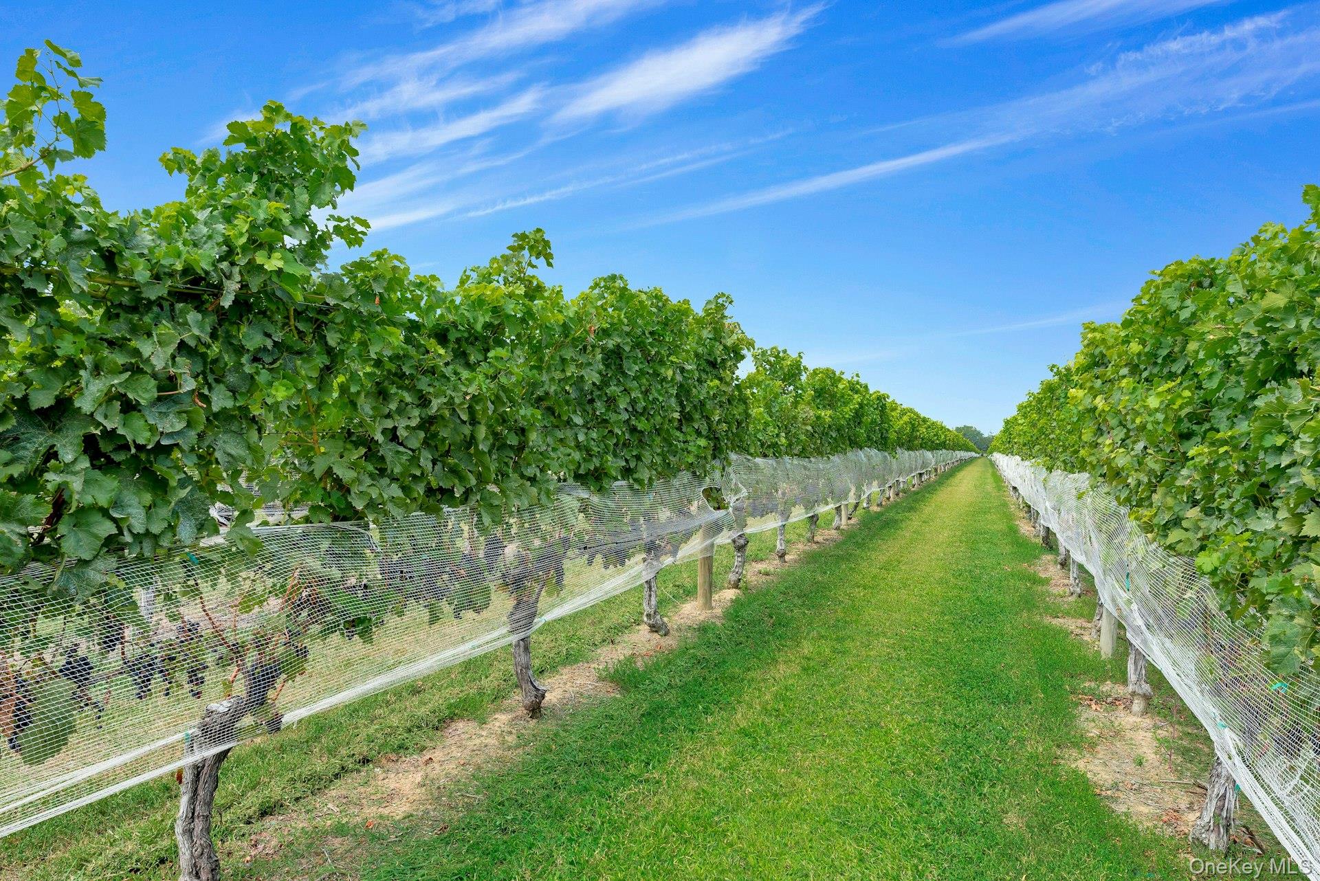 44075 Route 25, Peconic NY