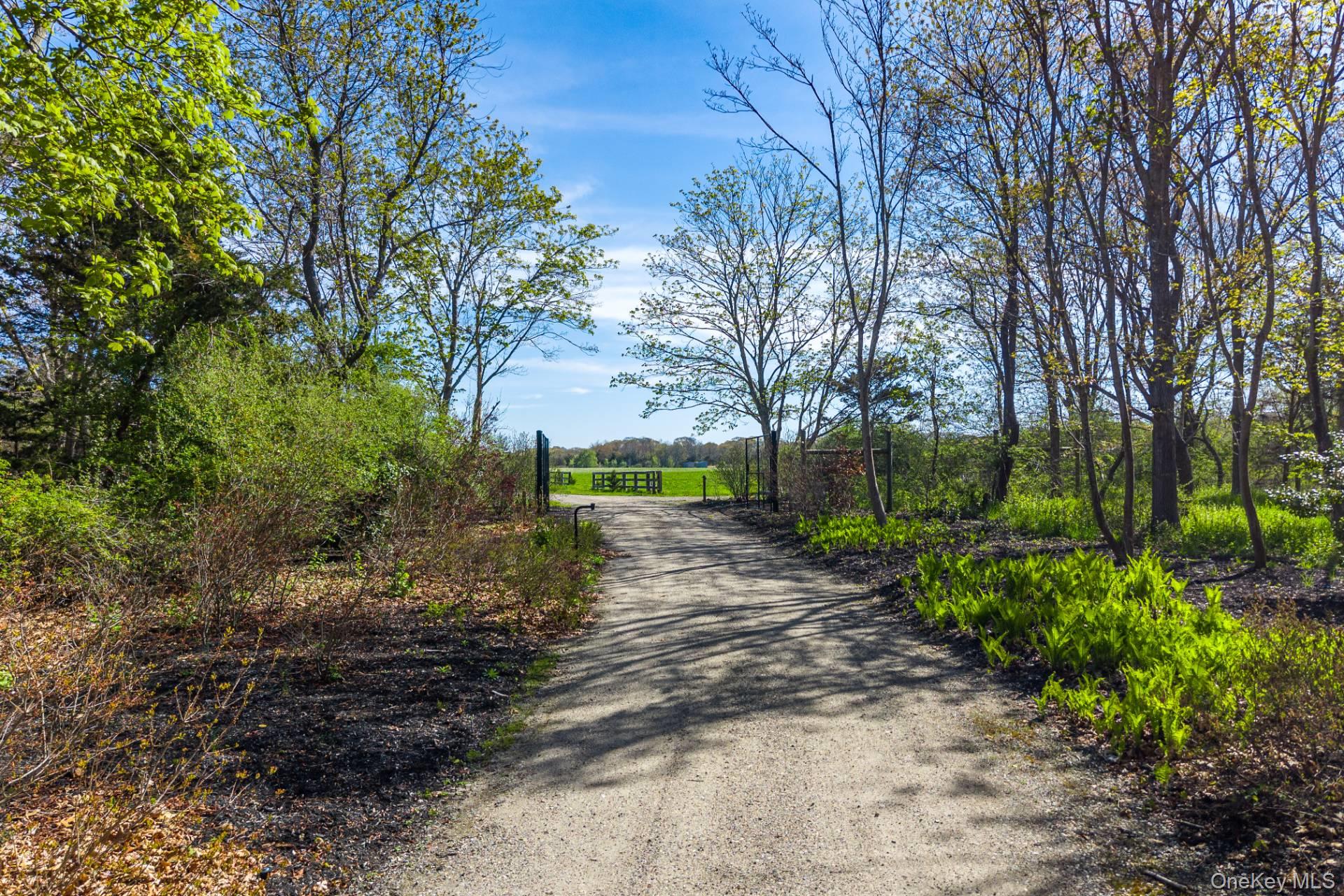 3123 & 3595 Skunk Lane, Cutchogue NY