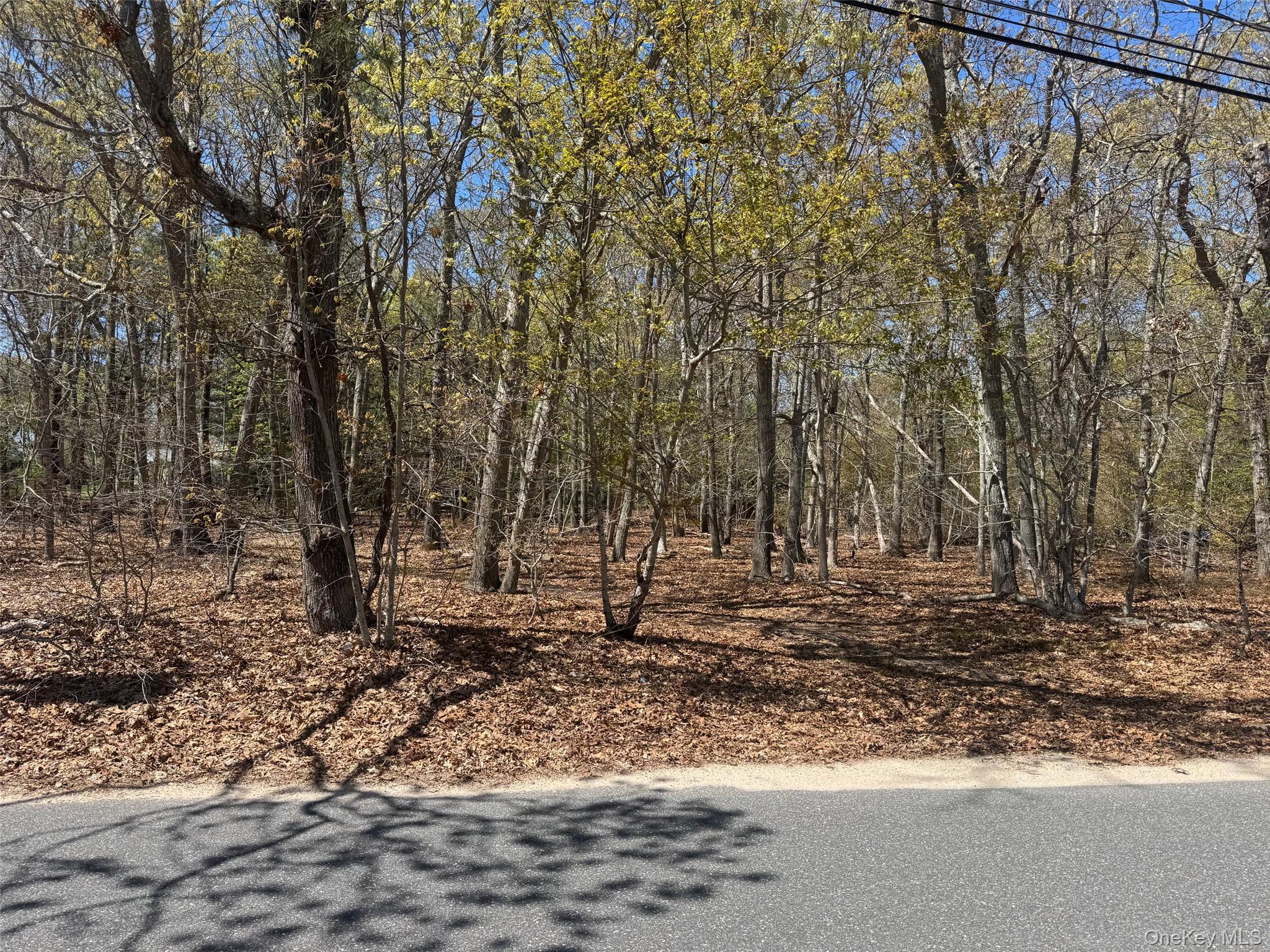 725 Youngs Avenue, Mattituck NY