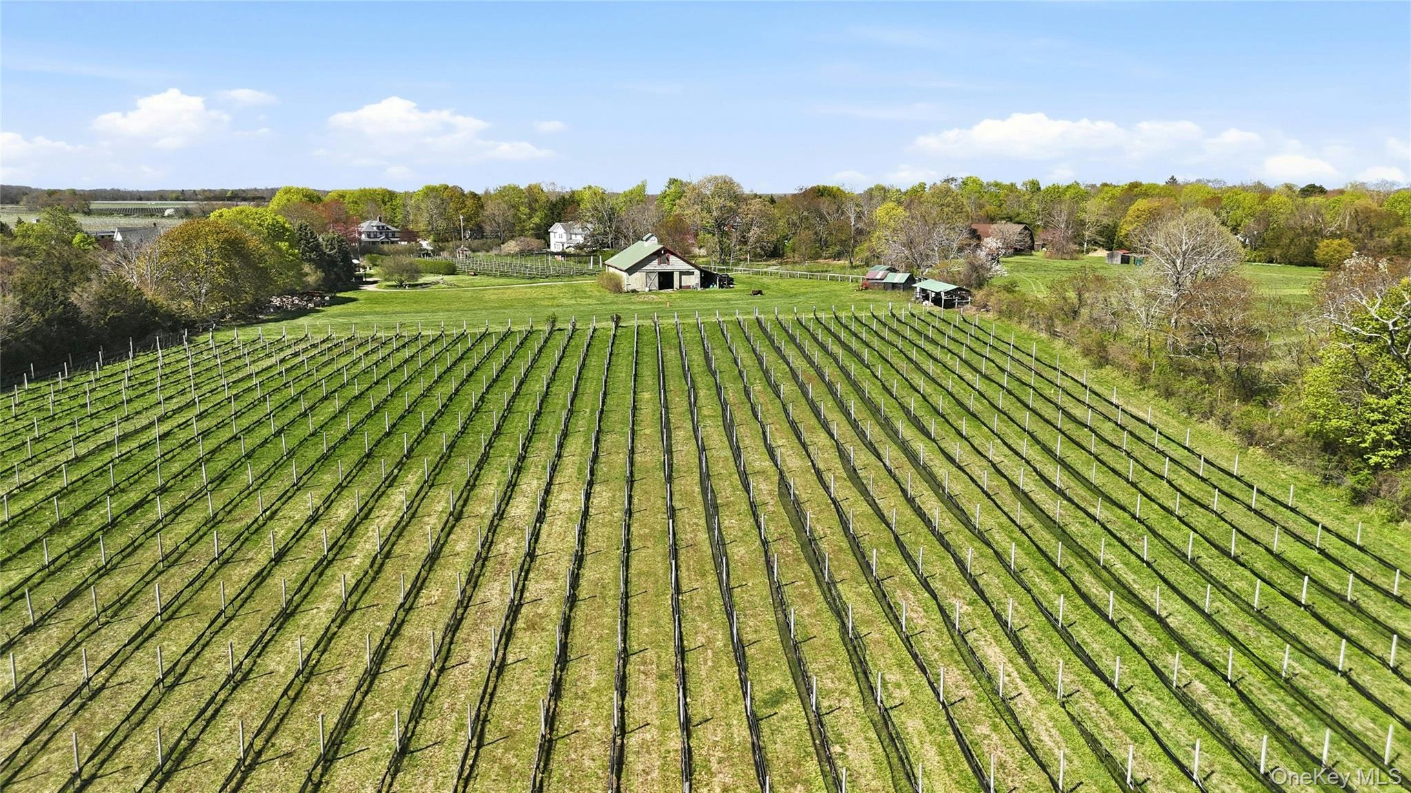 35950 Main Road, Cutchogue NY